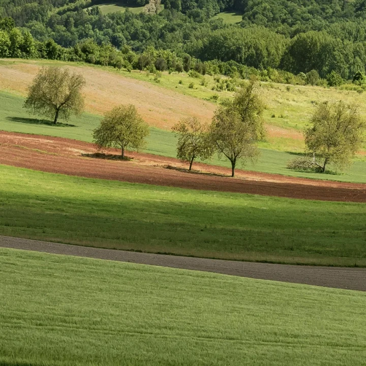 Épierrage, ramassage de pierres et broyage de souches dans un champ par les Carrières de Bernay