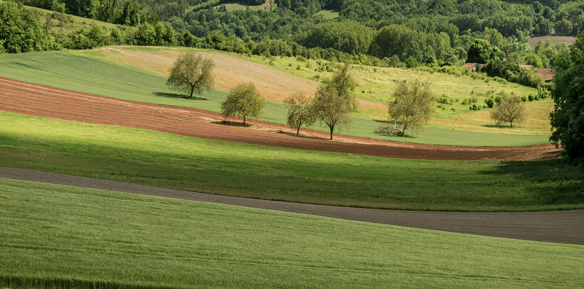 Épierrage, ramassage de pierres et broyage de souches dans un champ par les Carrières de Bernay