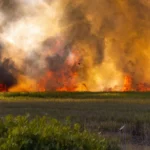Incendie dans un champs agricole, la pierre fautive