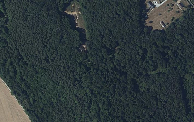 Carrières de Bernay réhabilitée en forêt à Saint-Léger-de-Rôtes
