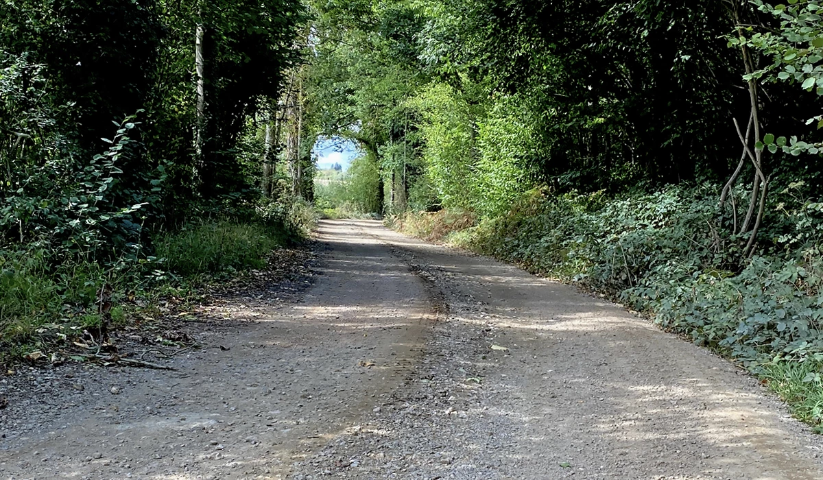 Remblayage du chemin forestier des Carrières de Bernay dans l'Eure