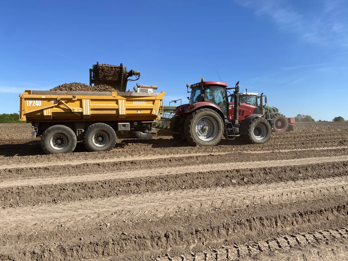 Épierreuse, tamisage vers une benne sur parcelle agricole à Brionne. Un service des Carrières de Bernay