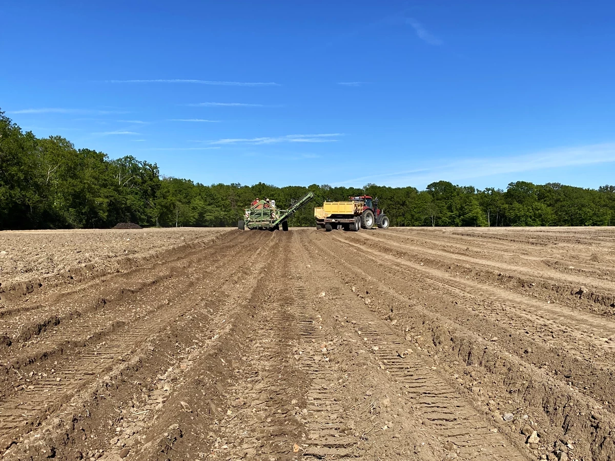 Épierreuse et benne sur une parcelle agricole de Brionne. Un service des Carrières de Bernay
